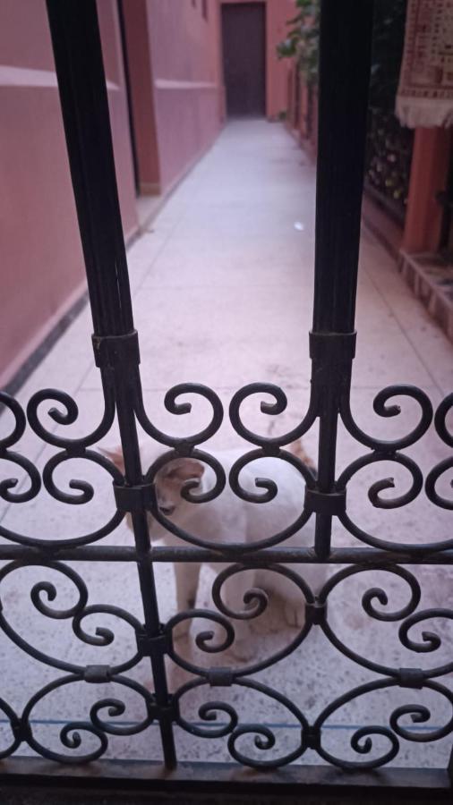 Riad A Marrakech Dans La Residence Touristique Al Qaria Assiyahia Marrakesh Esterno foto